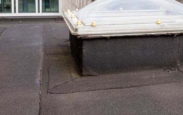 disadvantages of Wester Arboll flat roofs
