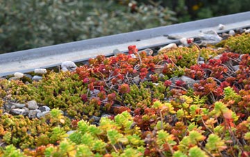 the cost of Wester Arboll green roof installation