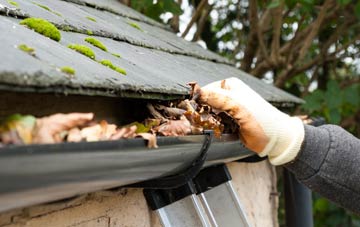 gutter cleaning Wester Arboll, Highland