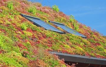 Wester Arboll living roof systems