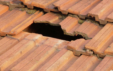 roof repair Wester Arboll, Highland