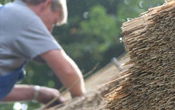 professional Wester Arboll thatchers