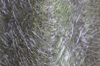 Wester Arboll fibreglass roof work