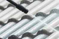 rated Wester Arboll roof cleaning companies